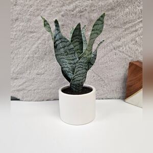Artificial Snake Plant In Pot